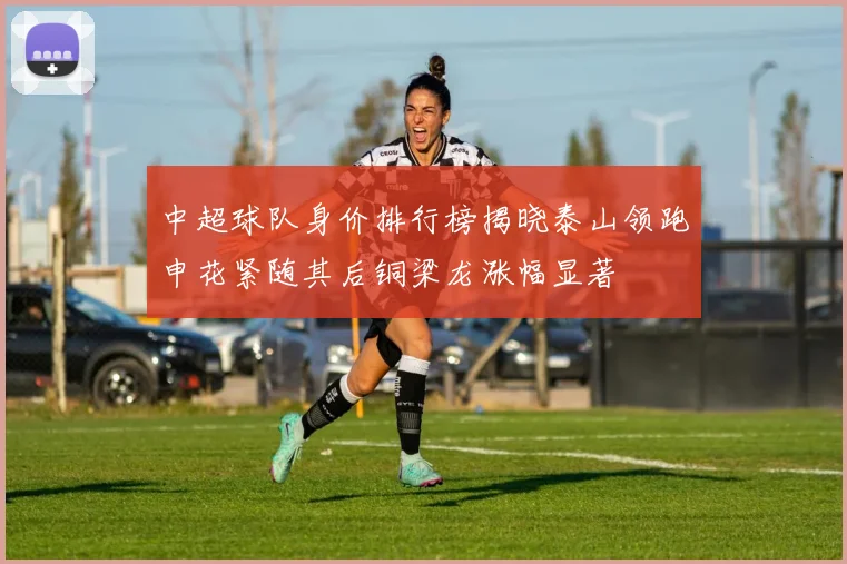 中超球队身价排行榜揭晓泰山领跑申花紧随其后铜梁龙涨幅显著