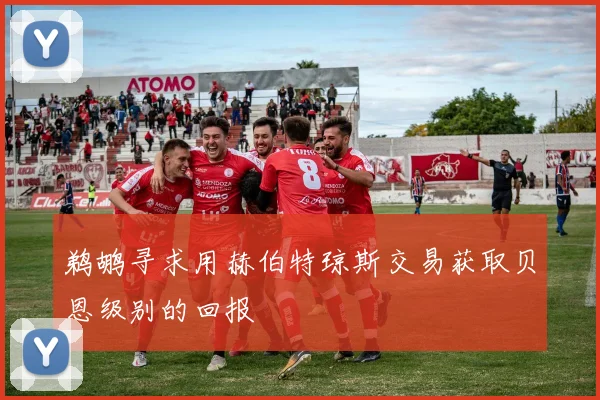 鹈鹕寻求用赫伯特琼斯交易获取贝恩级别的回报