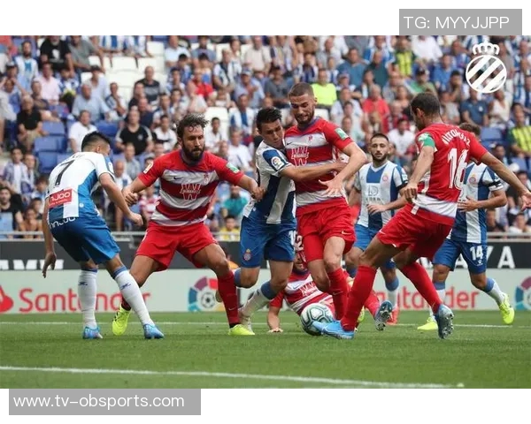 克尼佩尔谈投篮自信与队友协作的重要性感谢他们创造进攻机会 克尼佩尔谈投篮自信与队友协作的重要性感谢他们创造进攻机会